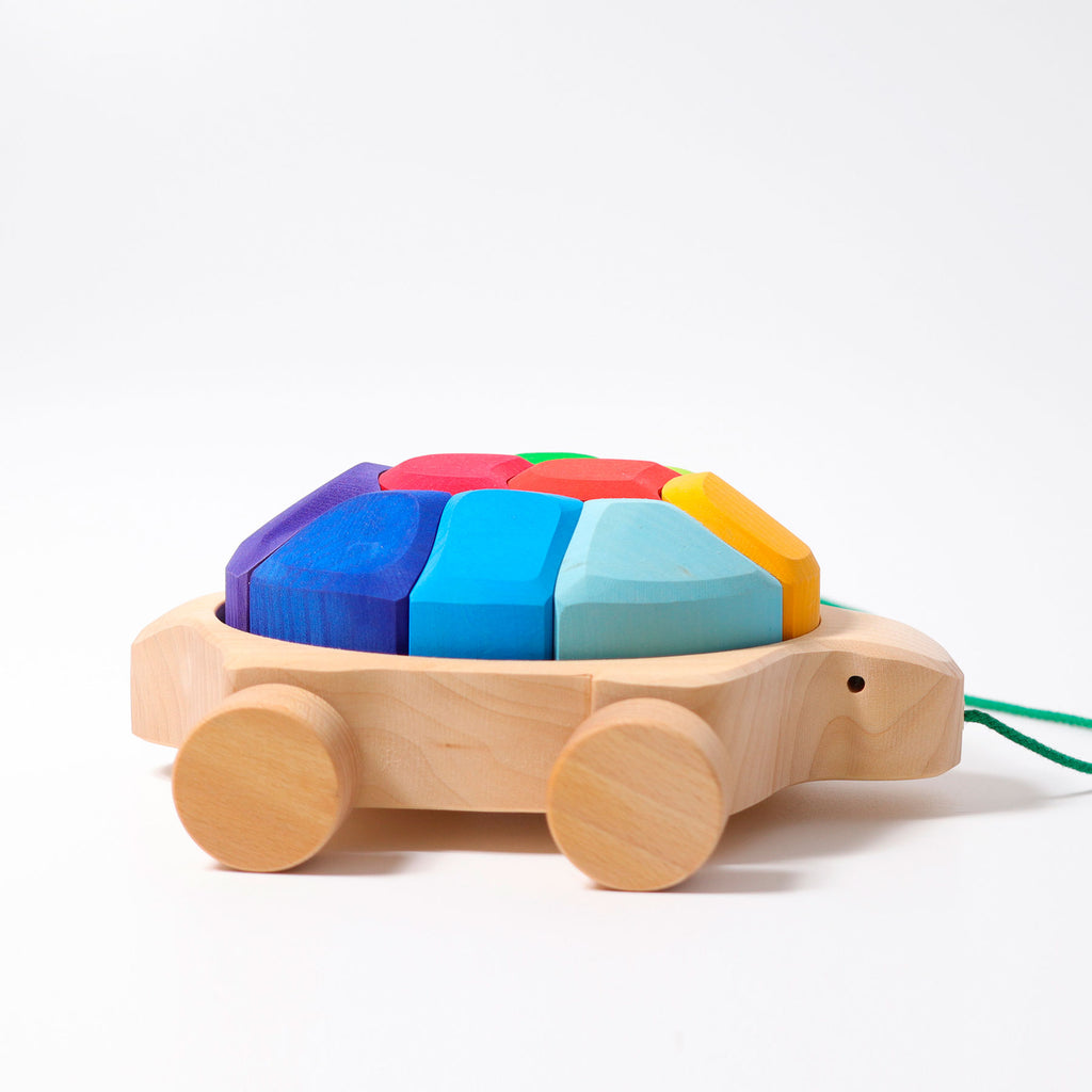 Grimm's Pullalong Turtle