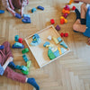 Grimm's Building Set Four Temperaments 40% off (was $299 now $ 179.40)