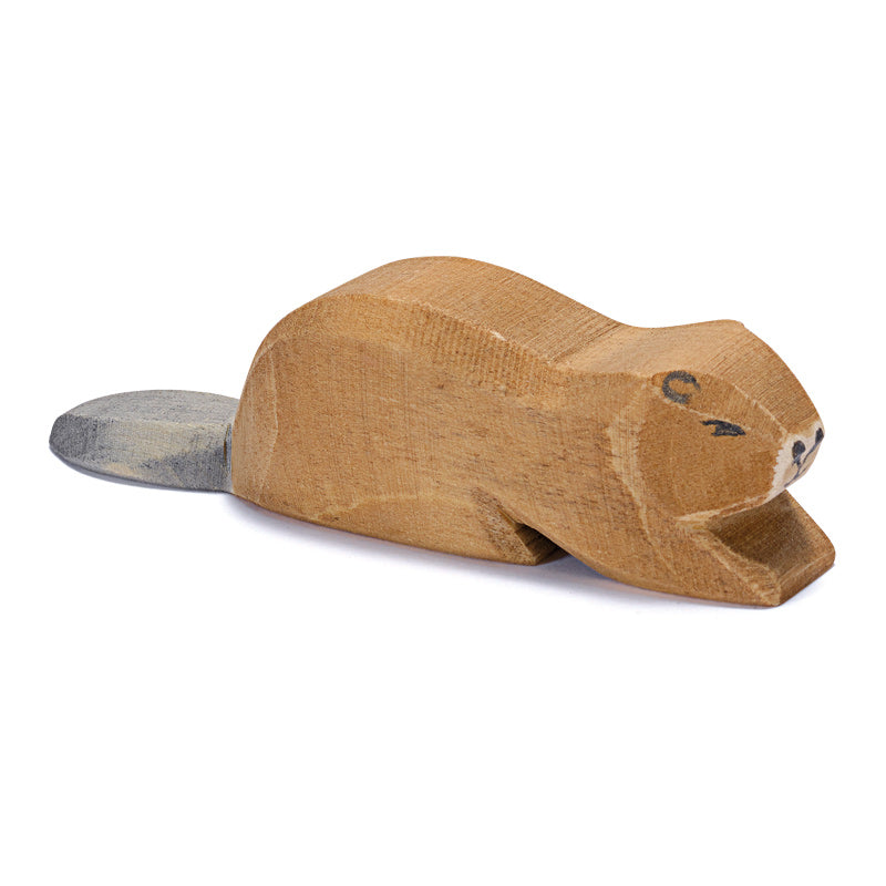 Ostheimer Beaver Lying