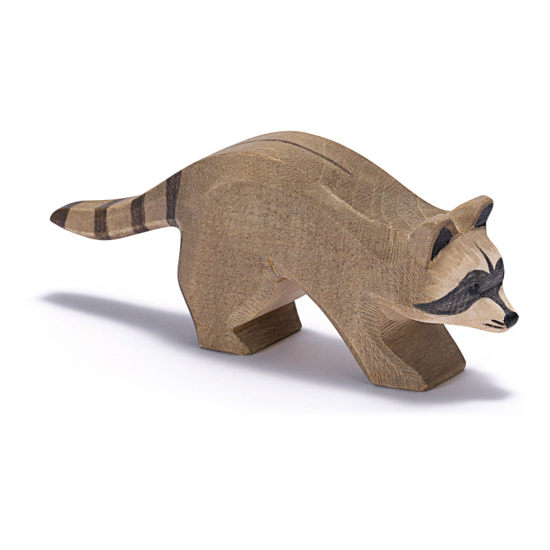 Ostheimer Raccoon Running