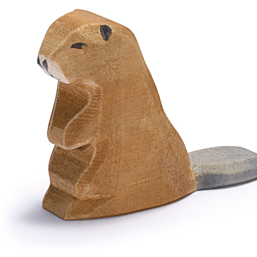 Ostheimer Beaver Sitting