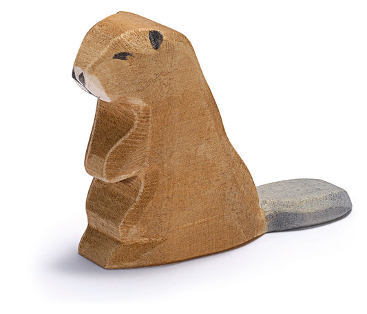 Ostheimer Beaver Sitting