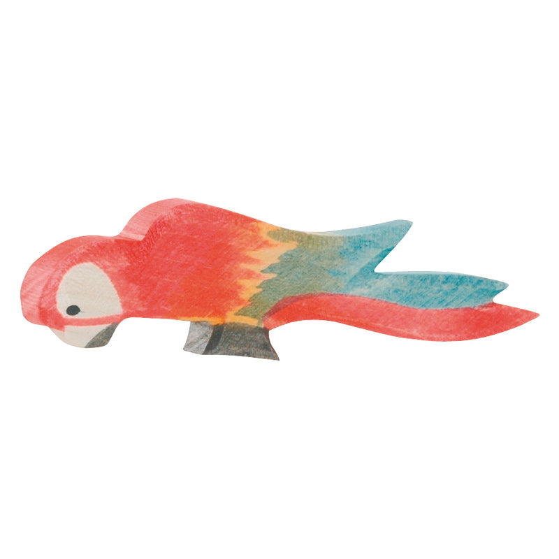 Ostheimer Parrot Multicolour