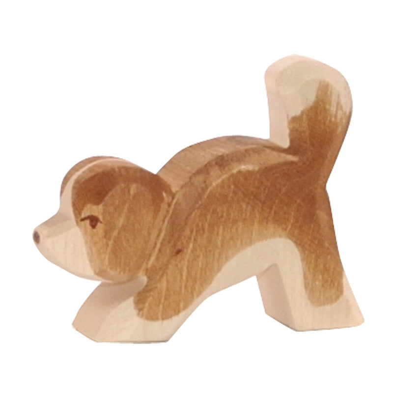 Ostheimer St. Bernhard Dog, small, head down