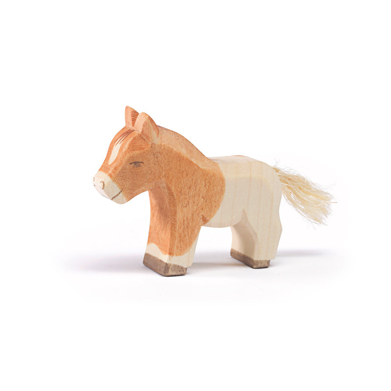 Ostheimer Shetland Colt