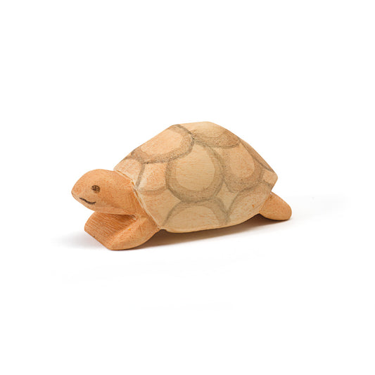 Ostheimer Turtle
