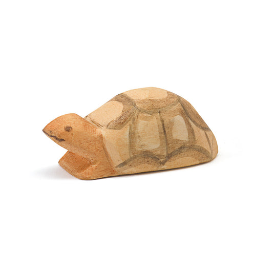 Ostheimer Turtle, small
