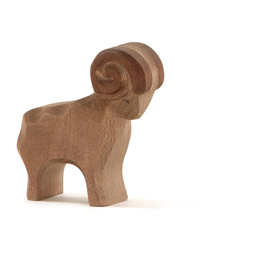 Ostheimer Ram, Brown