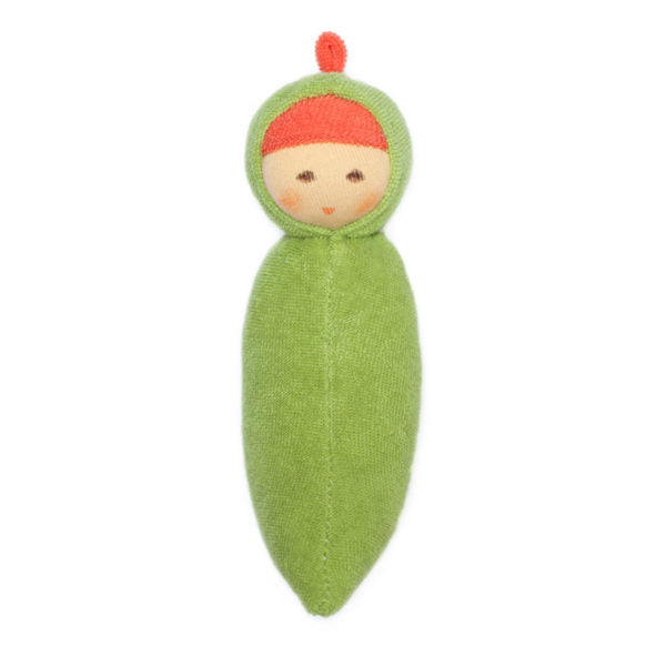 Nanchen Rattle Pea