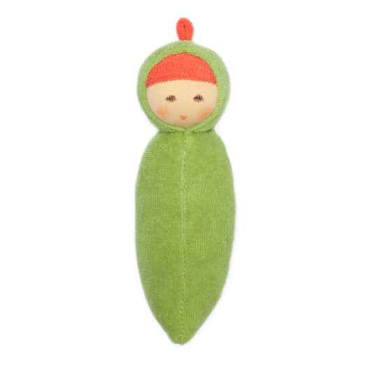 Nanchen Rattle Pea