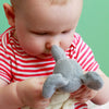 Nanchen Cuddle Elephant