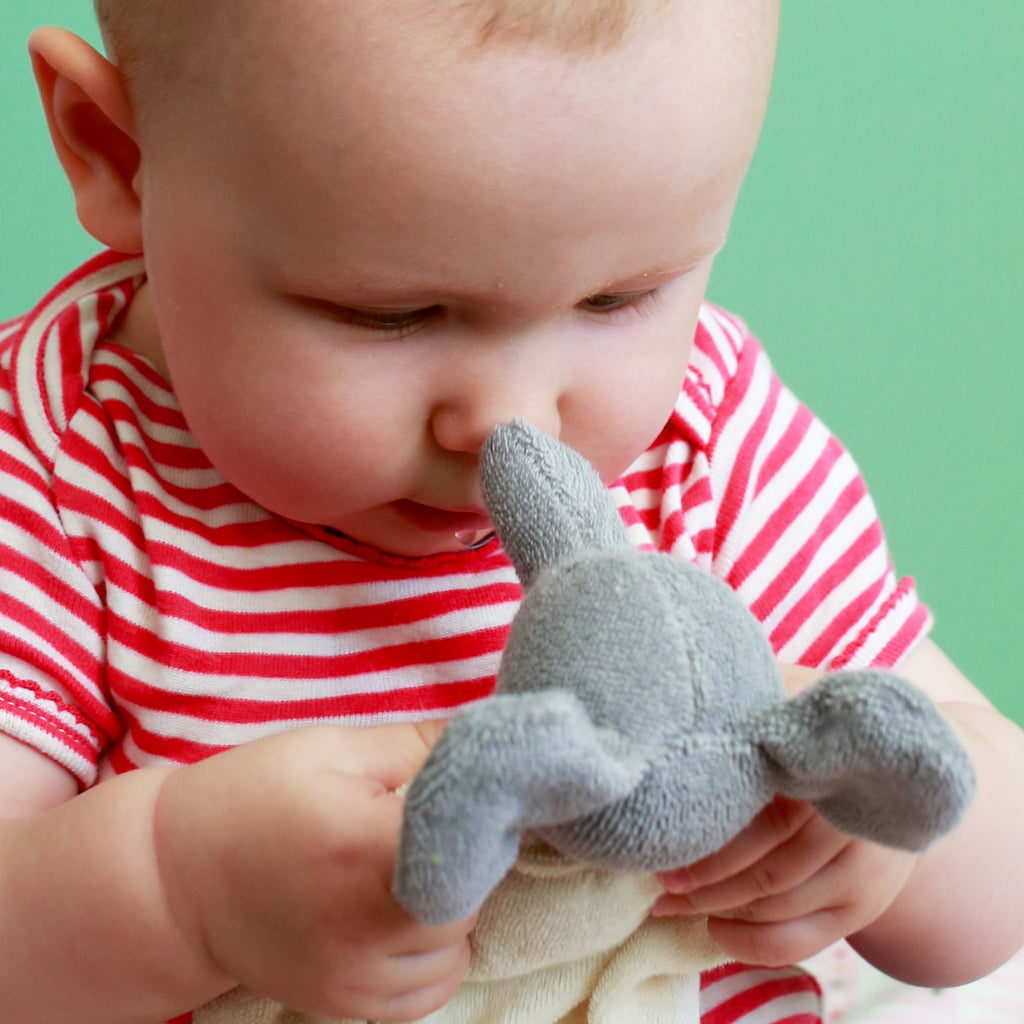 Nanchen Cuddle Elephant