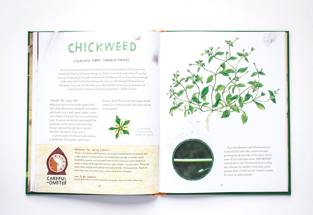 Let's Eat Weeds!