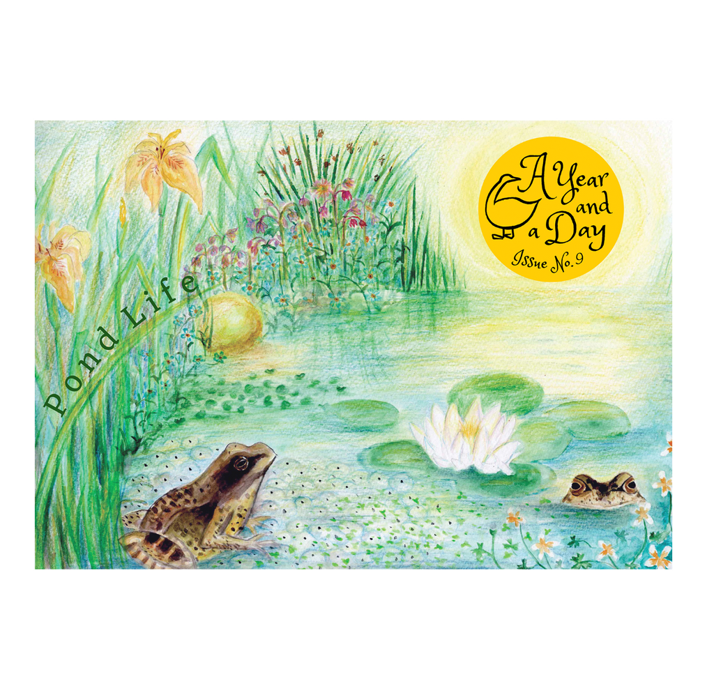 A Year & A Day Magazine Issue 9 Pond Life