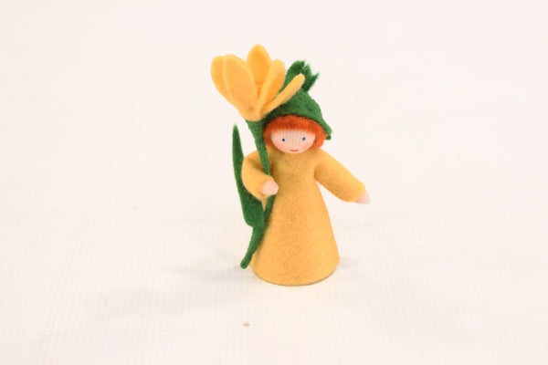 Ambrosius Flower Fairy Crocus New