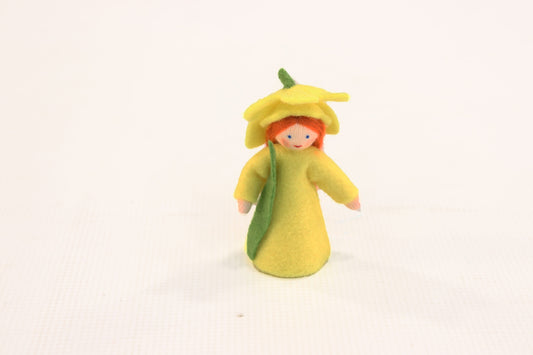 Ambrosius Flower Fairy Daffodil New