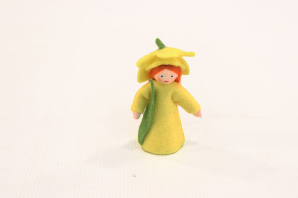 Ambrosius Flower Fairy Daffodil New