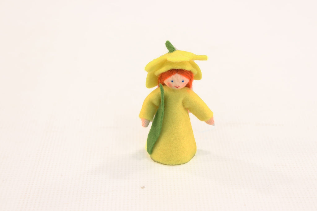 Ambrosius Flower Fairy Daffodil New