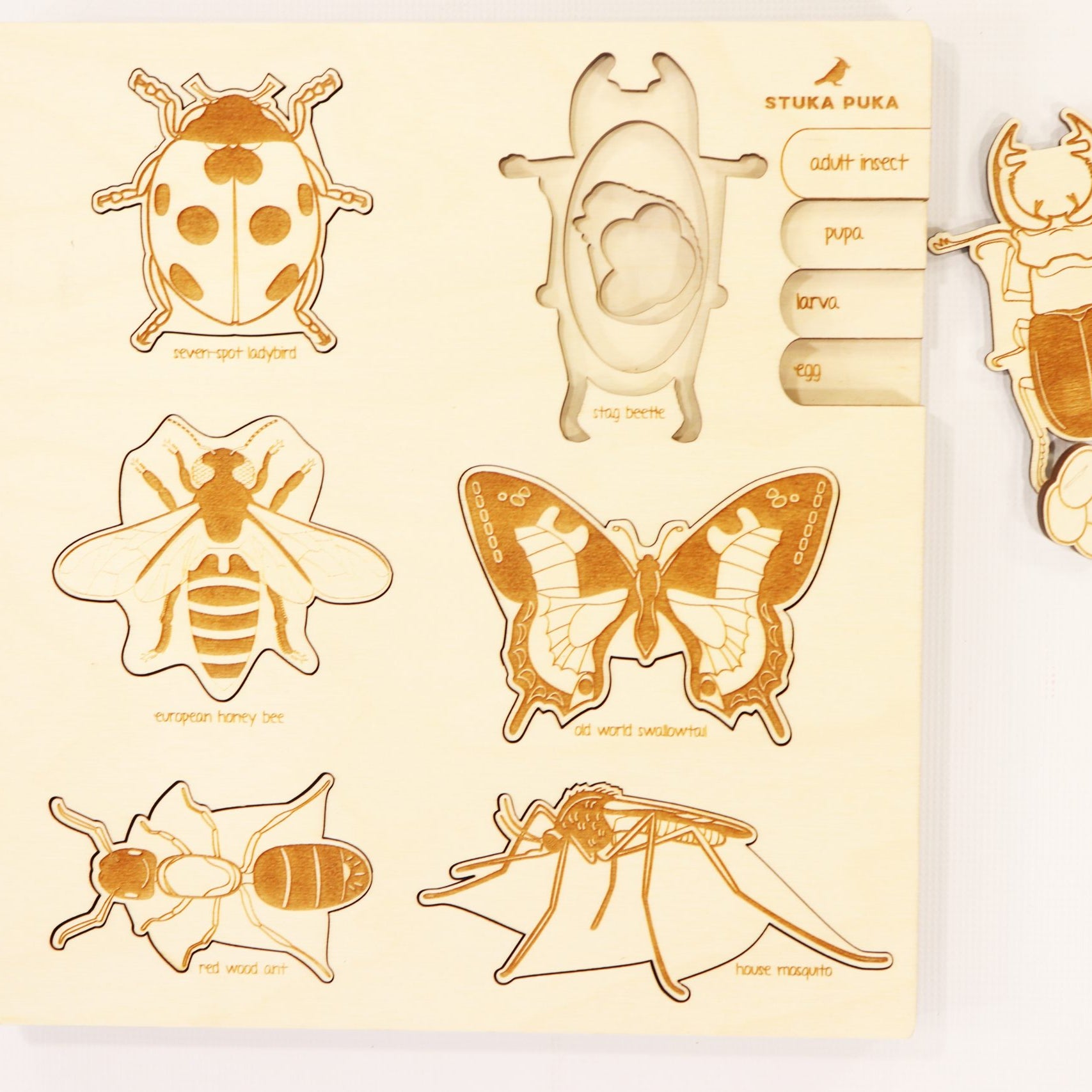 Stuka Puka, A Bugs Life Puzzle