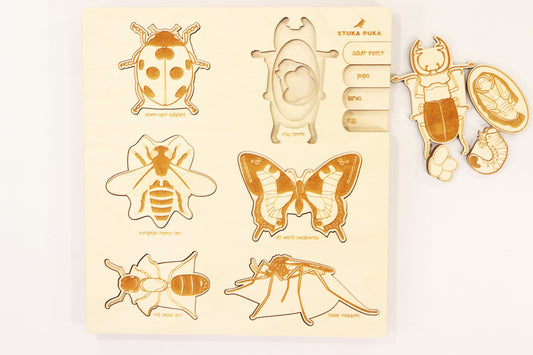Stuka Puka, A Bugs Life Puzzle