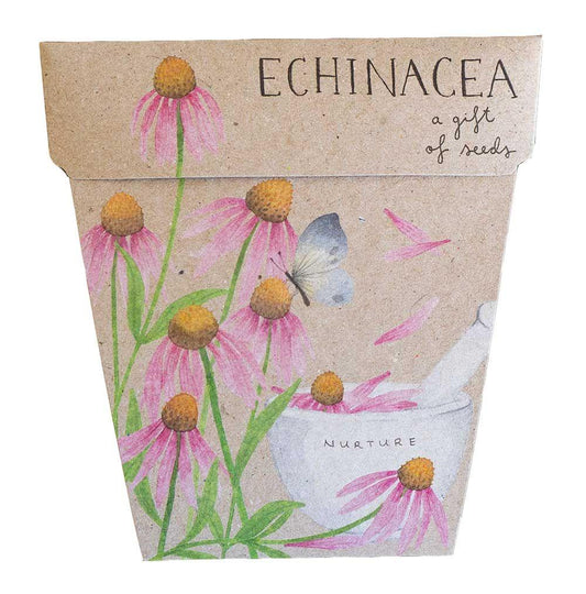 Sow 'n Sow Gift of Seeds Echinacea