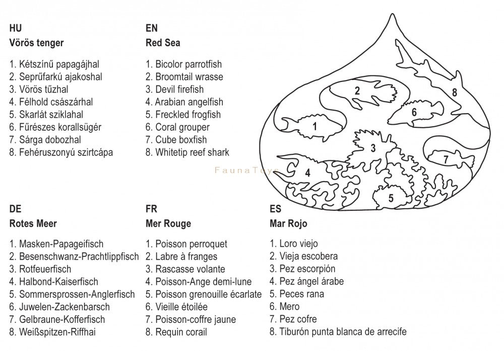 Fauna Puzzle The Red Sea