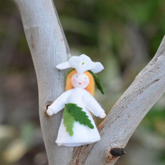 Ambrosius Christmas Flower Fairy Rose