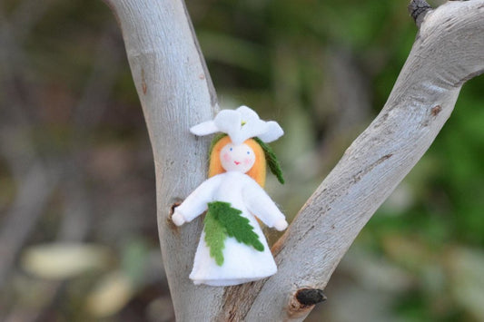 Ambrosius Christmas Flower Fairy Rose