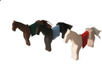 Magic Wood Horse Set