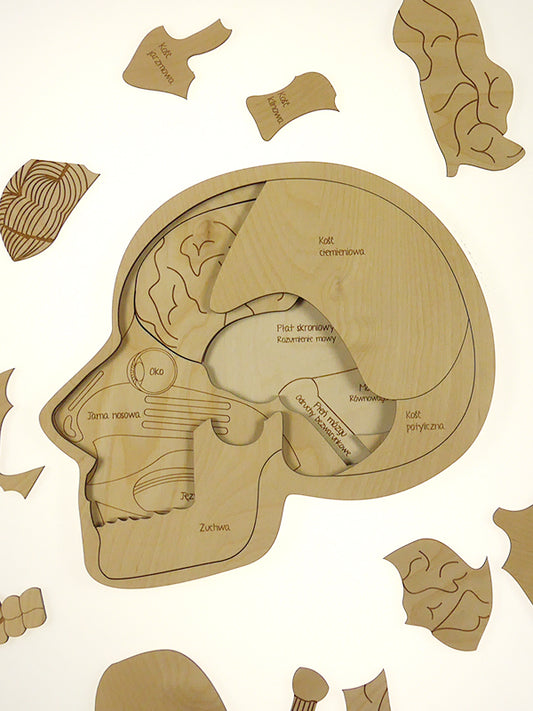 Stuka Puka Use Your Head! Puzzle