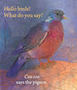 Hello Birds What Do You Say?