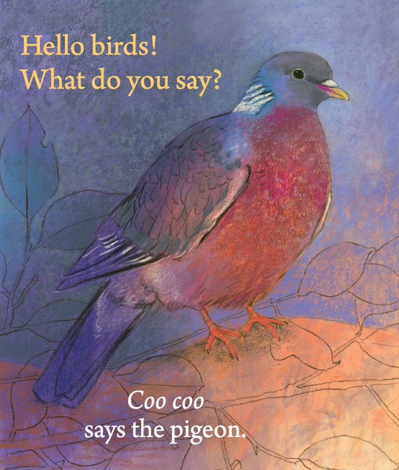 Hello Birds What Do You Say?