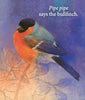 Hello Birds What Do You Say?