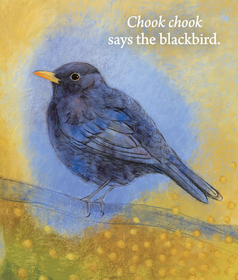 Hello Birds What Do You Say?