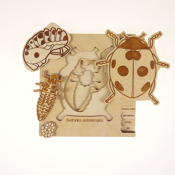 Stuka Puka Ladybug Puzzle