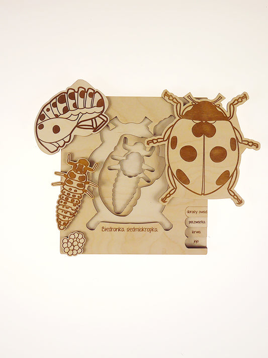 Stuka Puka Ladybug Puzzle