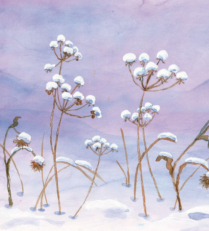 Little Fairy's Christmas