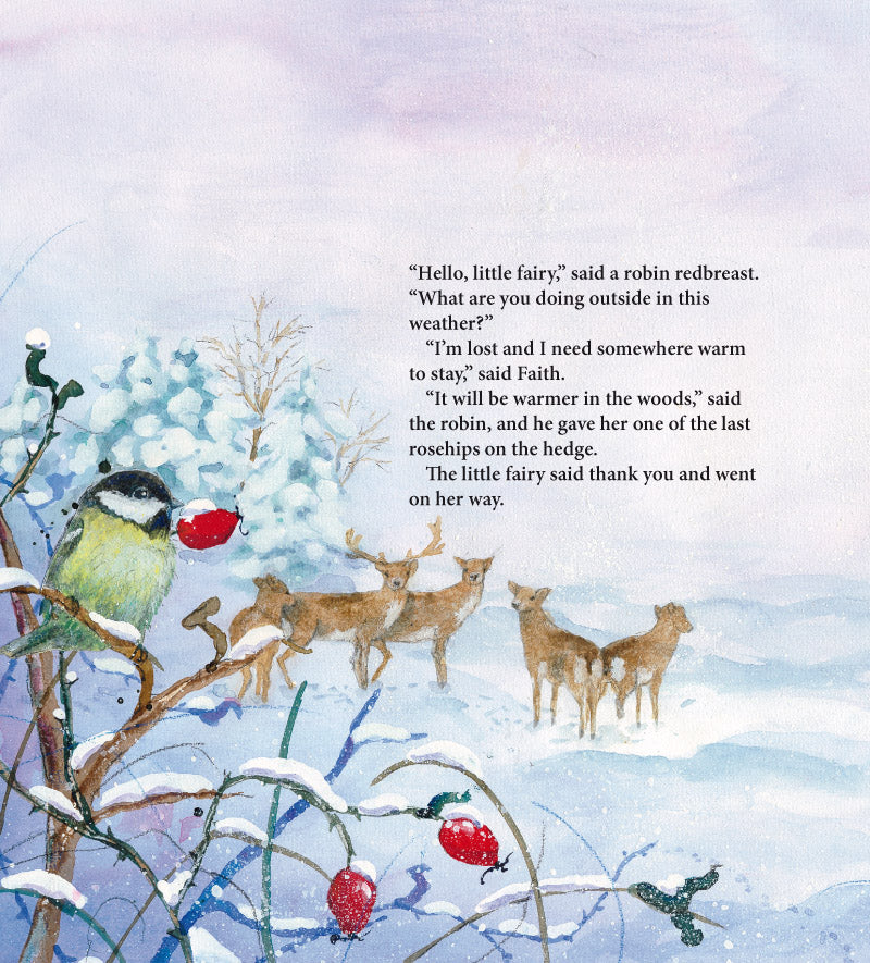 Little Fairy's Christmas