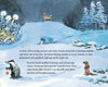 Little Tomte's Christmas Wish