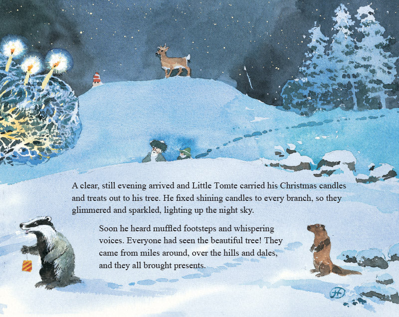 Little Tomte's Christmas Wish
