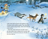 Little Tomte's Christmas Wish
