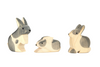 Ostheimer Rabbit Black & White Sitting