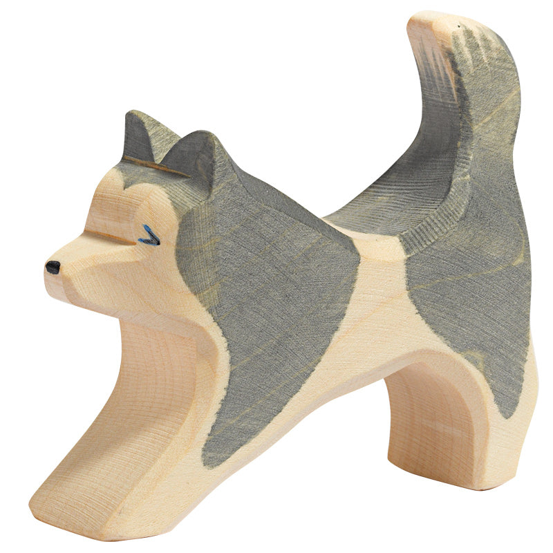Ostheimer Sled Dog Running