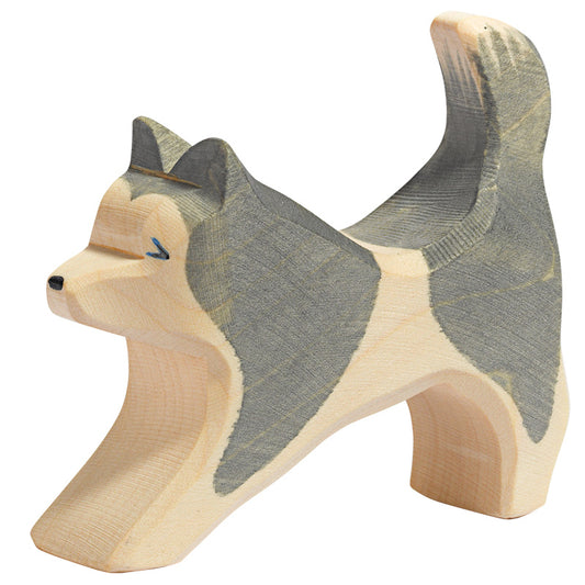 Ostheimer Sled Dog Running