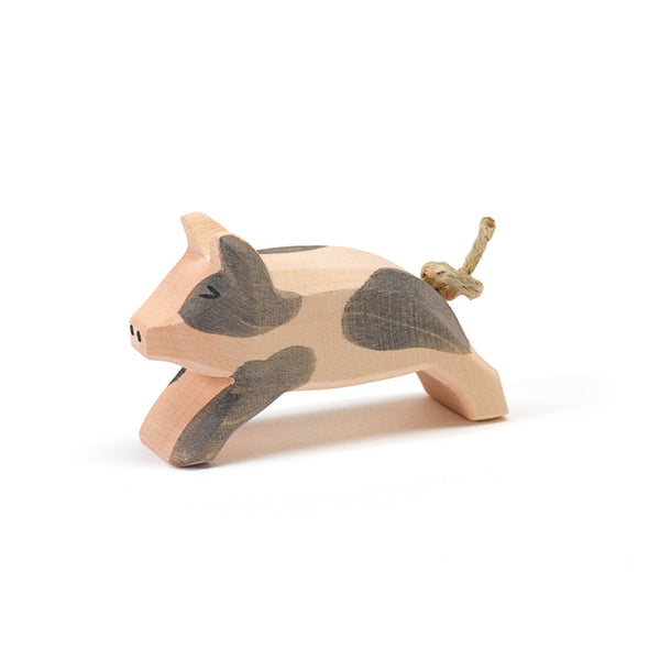 Ostheimer Spotted Piglet Running