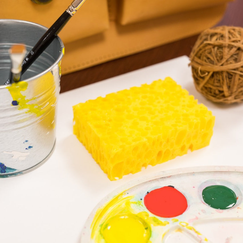 Sedulus Painting sponge for watercolour painting