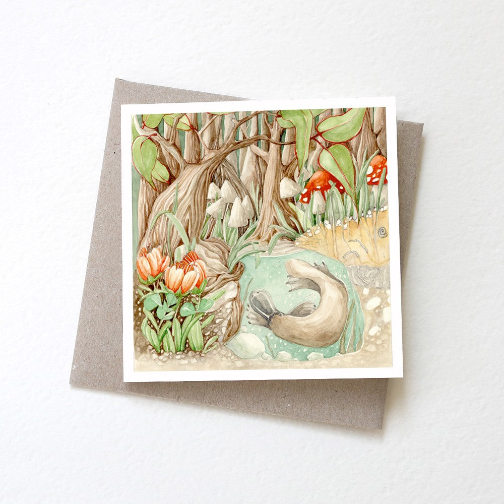 Greeting Card Platypus Hollow
