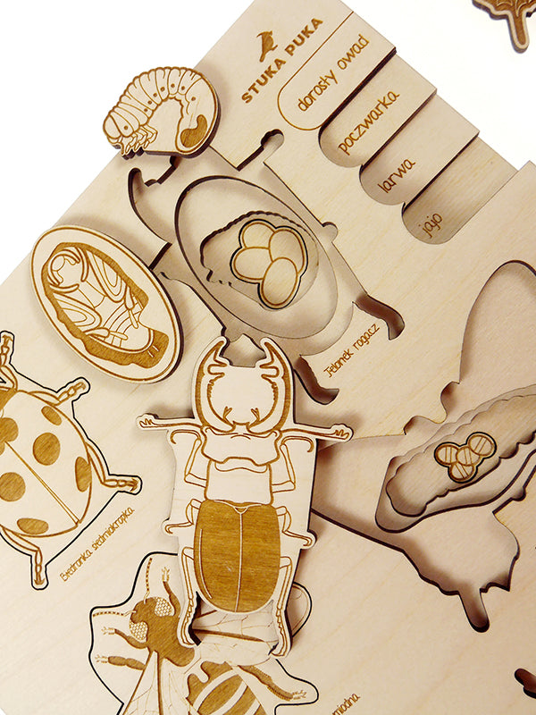 Stuka Puka, A Bugs Life Puzzle