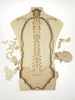 Stuka Puka What's Inside Me Puzzle