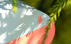 Candylab - Rosebud Camper